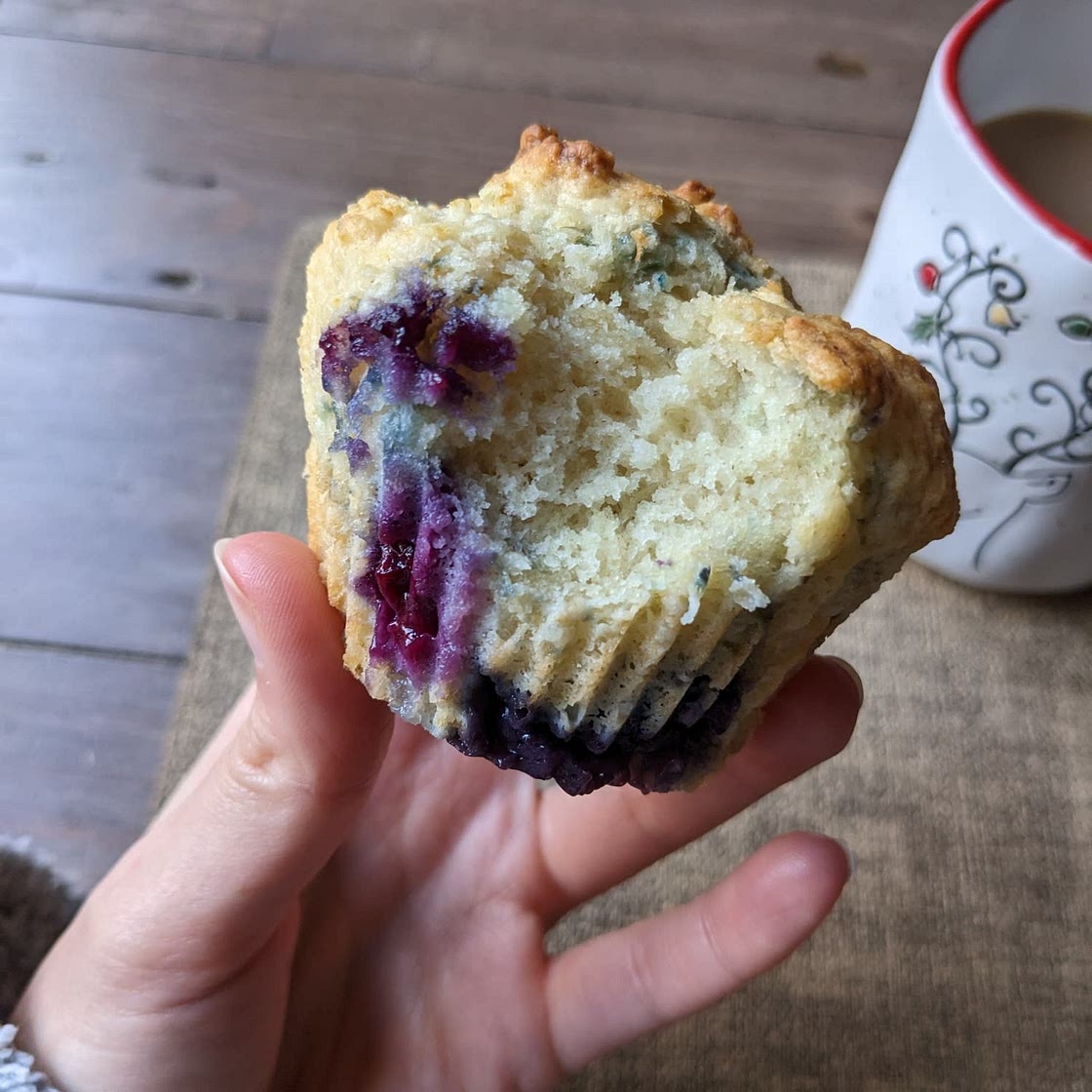 Greek Yogurt Blueberry Muffins (Low Sugar Recipe)