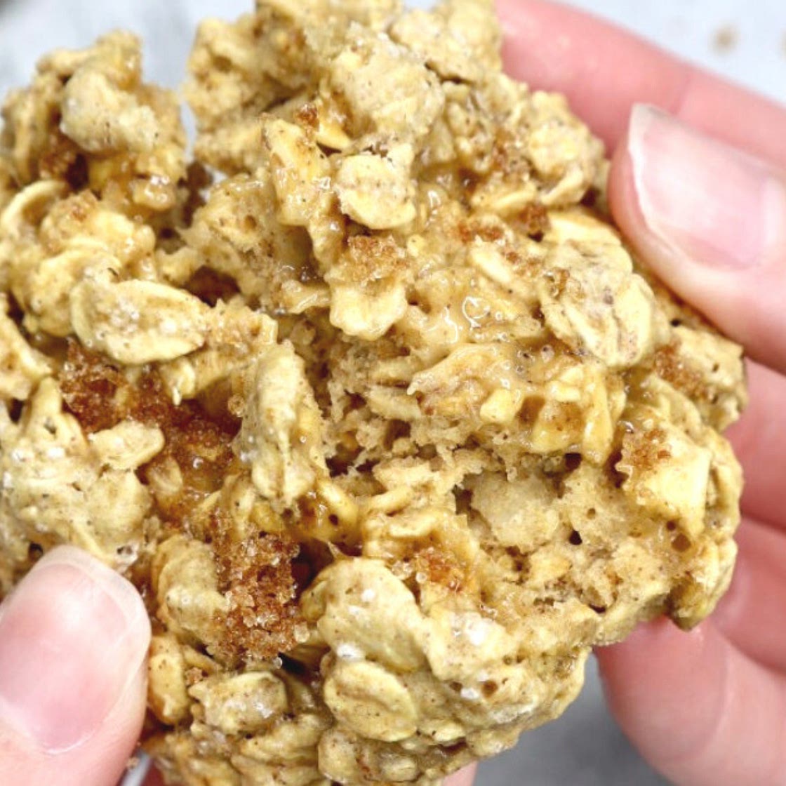 Chewy Oatmeal Breakfast Cookies