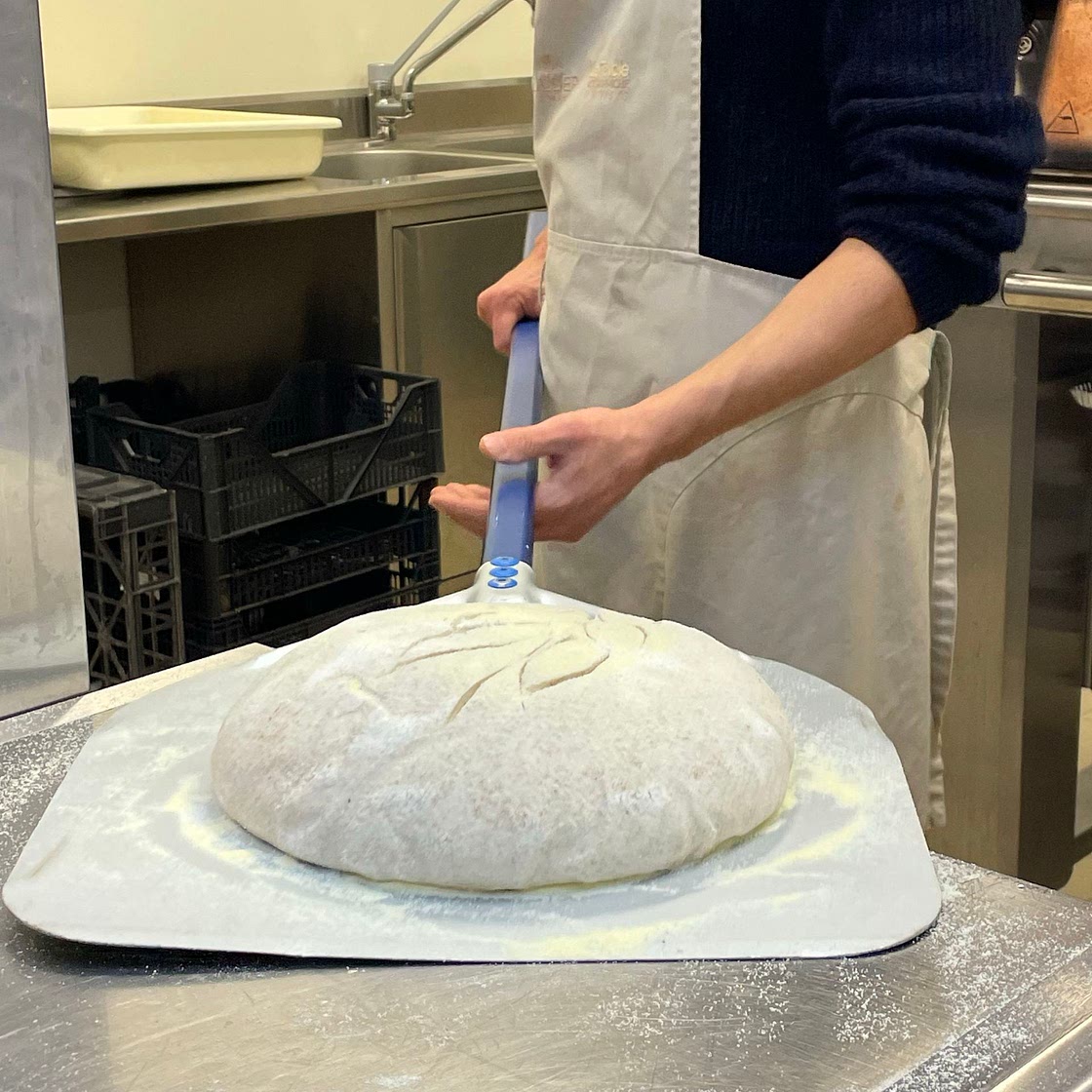 Forno Brisa Sourdough
