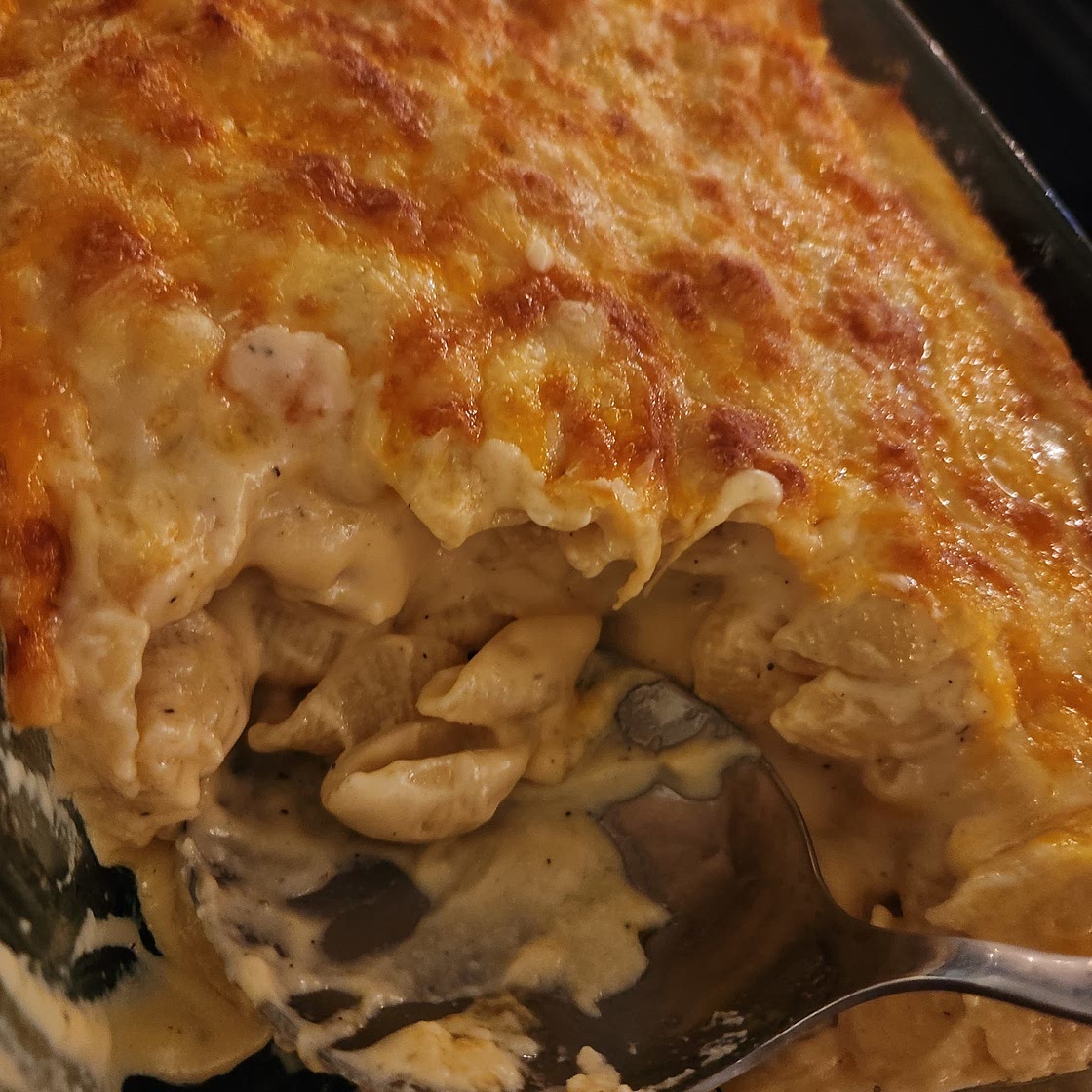 Four Cheese Shells and Cheese