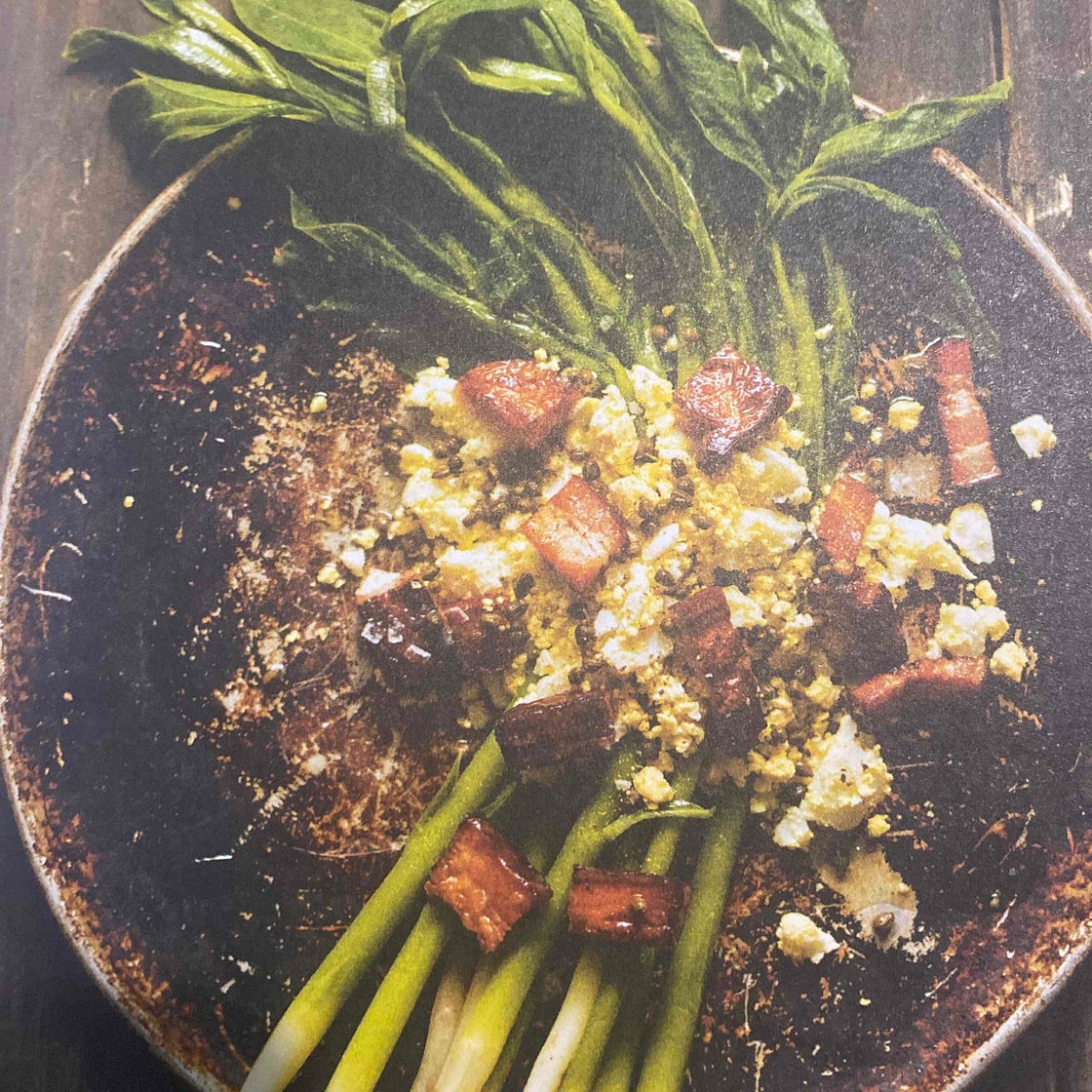 Salade de pousses d’asclépiade aux baies de sureau immatures