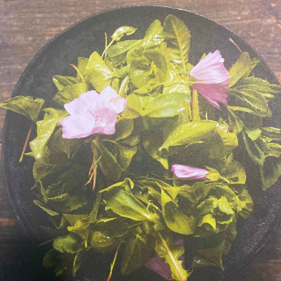 Salade de feuilles de violette et de fleurs
