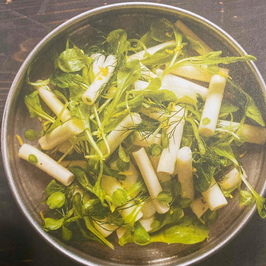 Salade de quenouille frais au tabouret des champs et citron