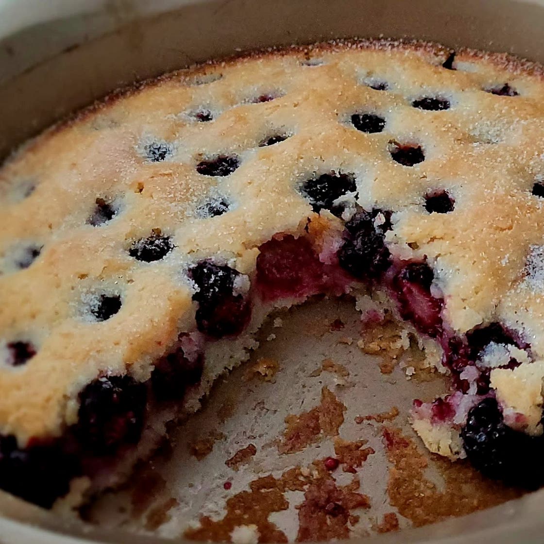 The Pioneer Women's Blackberry Cobbler