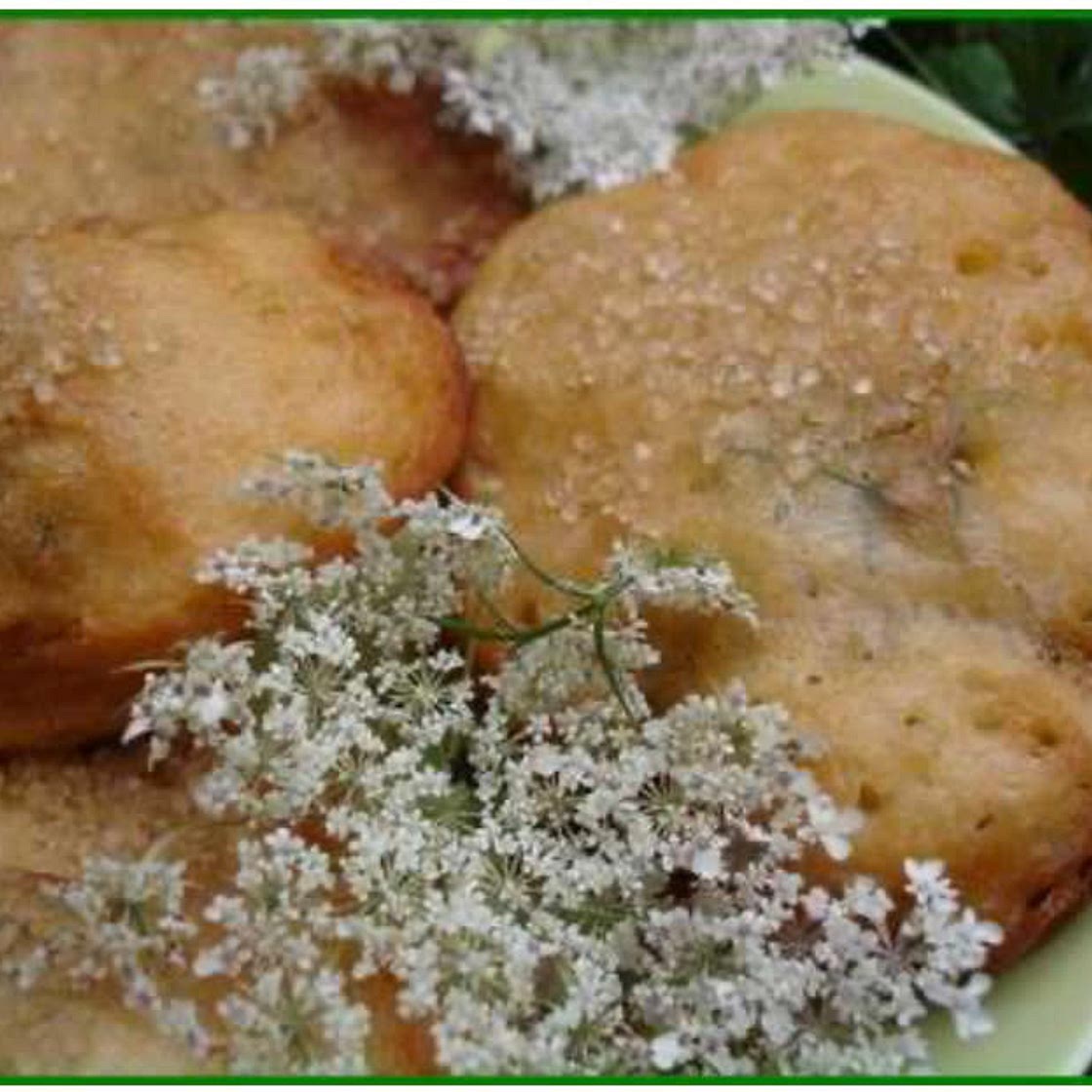 Beignets de fleurs de carottes sauvages 