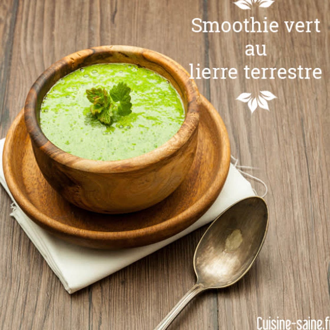 Smoothie au lierre terrestre