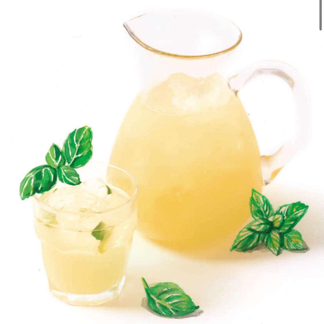 Eau de fenouil citron-menthe
