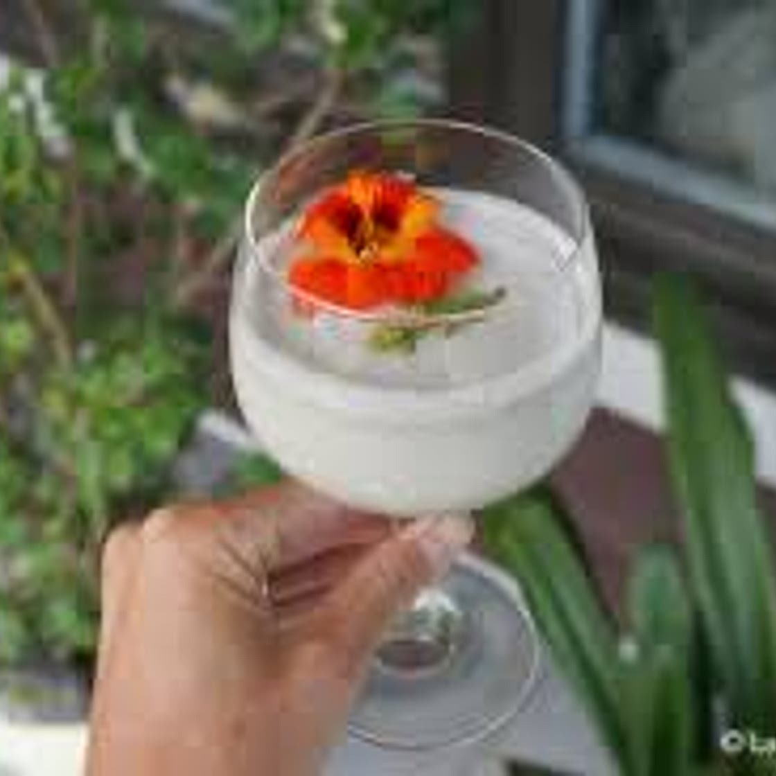 Piña colada sans alcool à la matricaire odorante