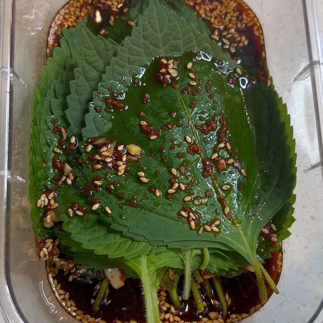 Korean Pickled Perilla Leaves