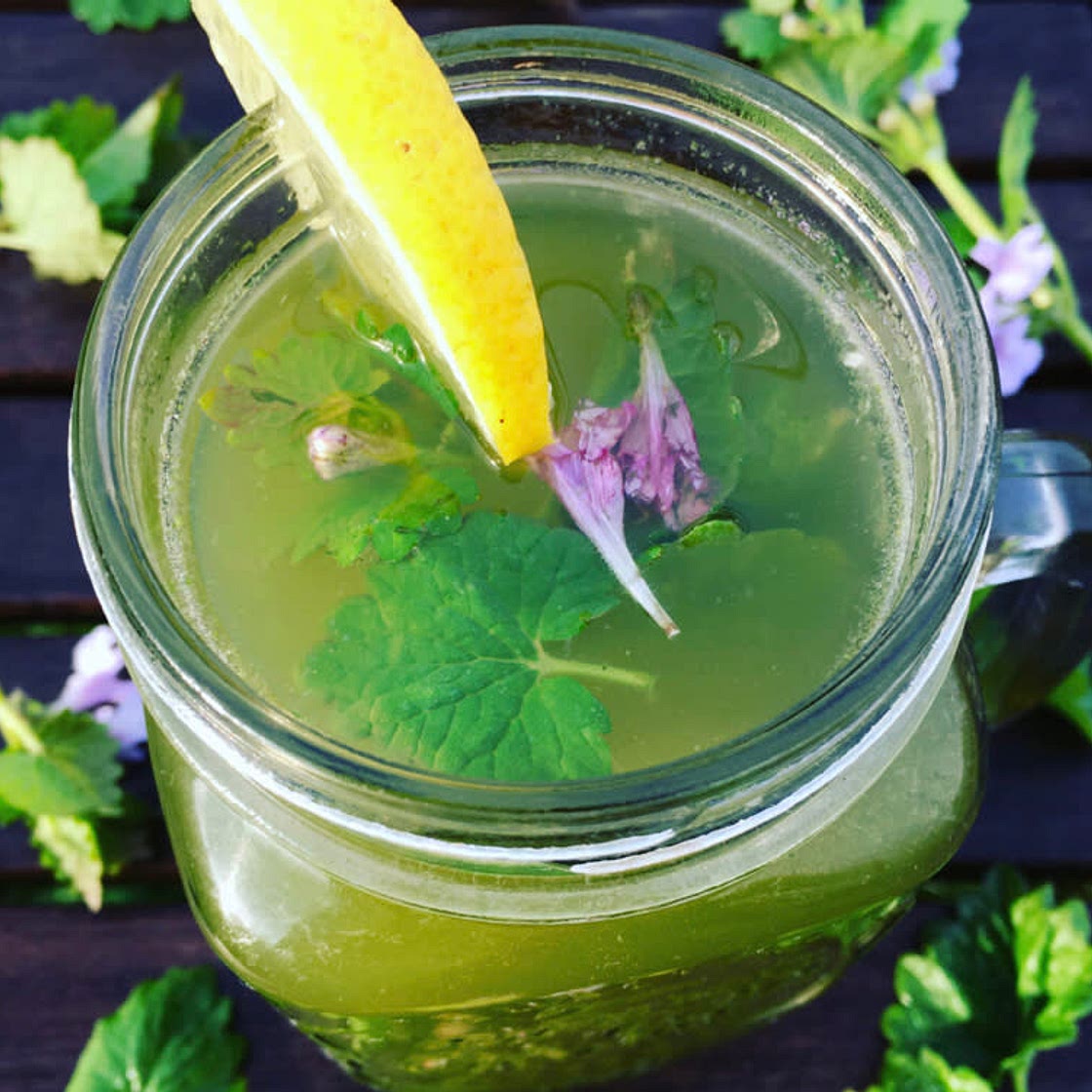 Cocktail sans alcool au lierre terrestre