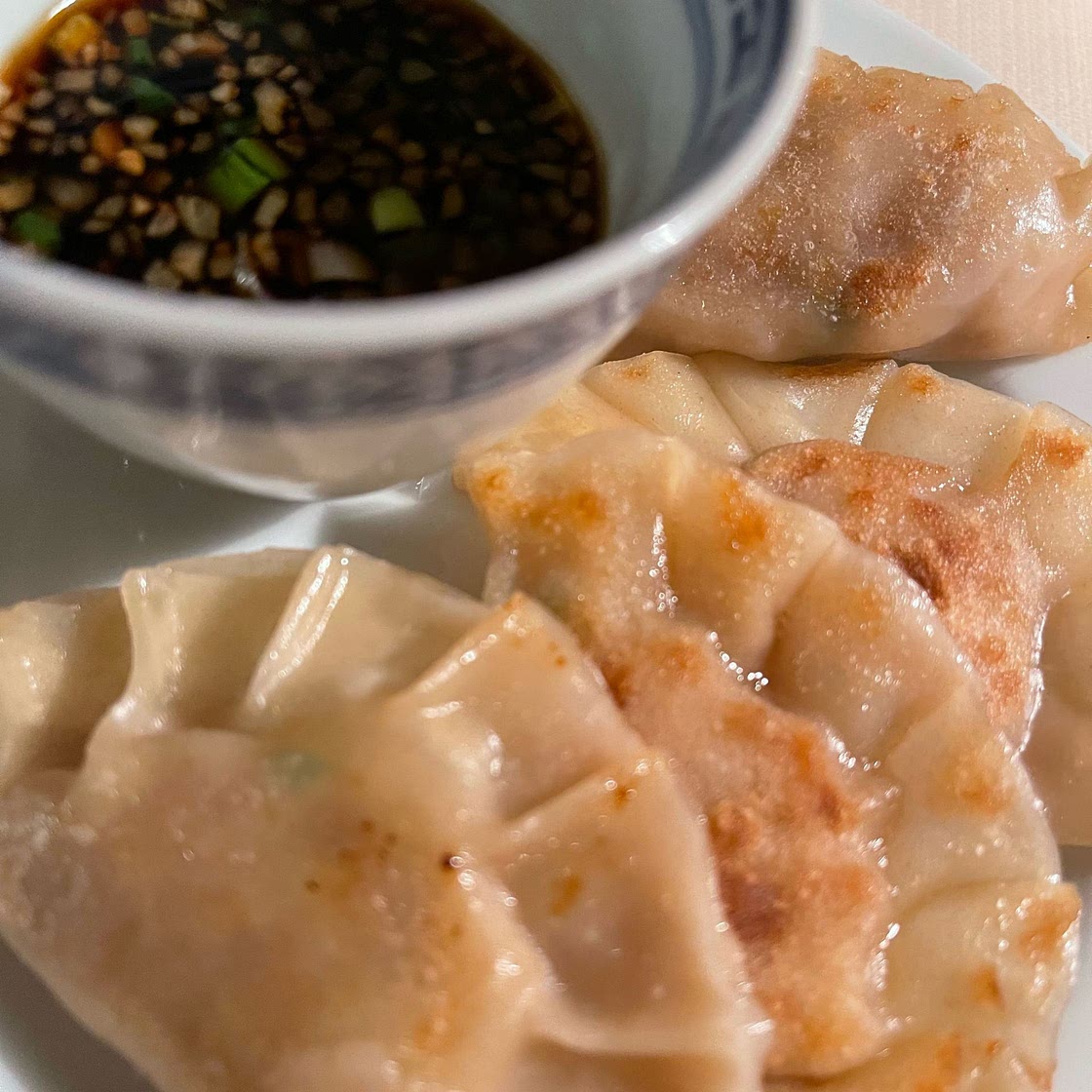 Pork Dumplings