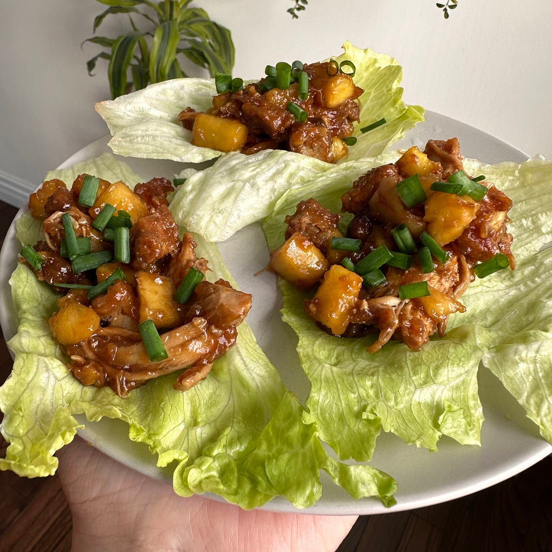 Teriyaki chicken (instant pot)