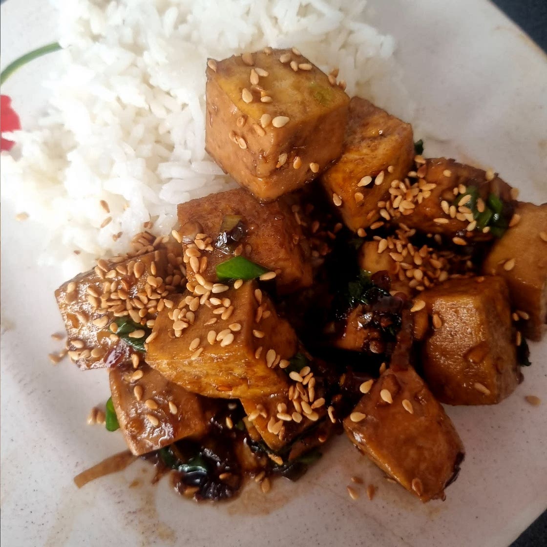 Spicy Braised Tofu
