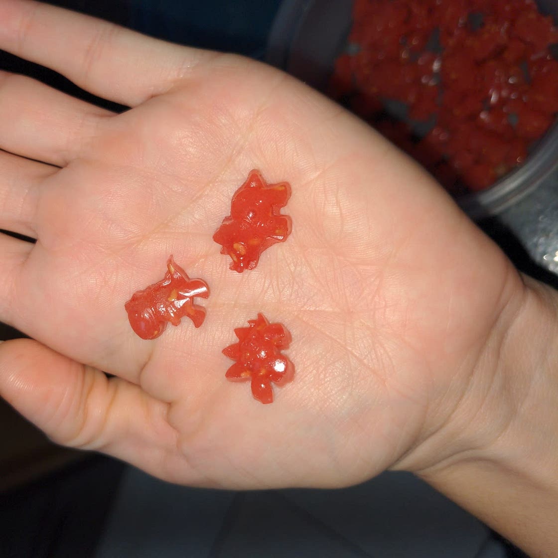 Homemade Healthy Fruit Snacks