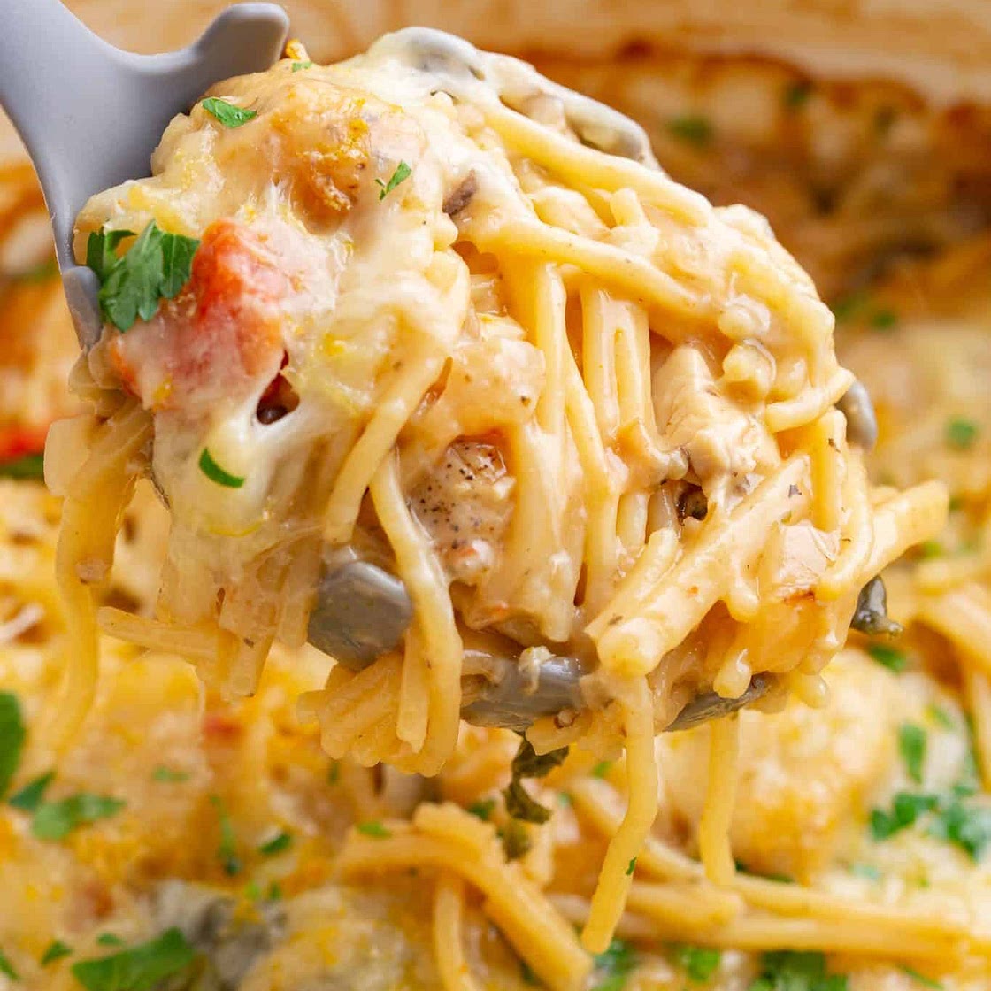 Creamy Chicken Tetrazzini with Kale and Sundried Tomatoes!