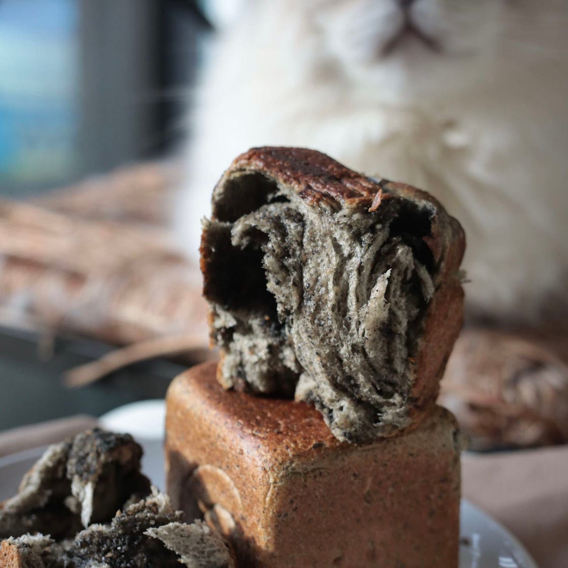Double Black Sesame Shokupan
