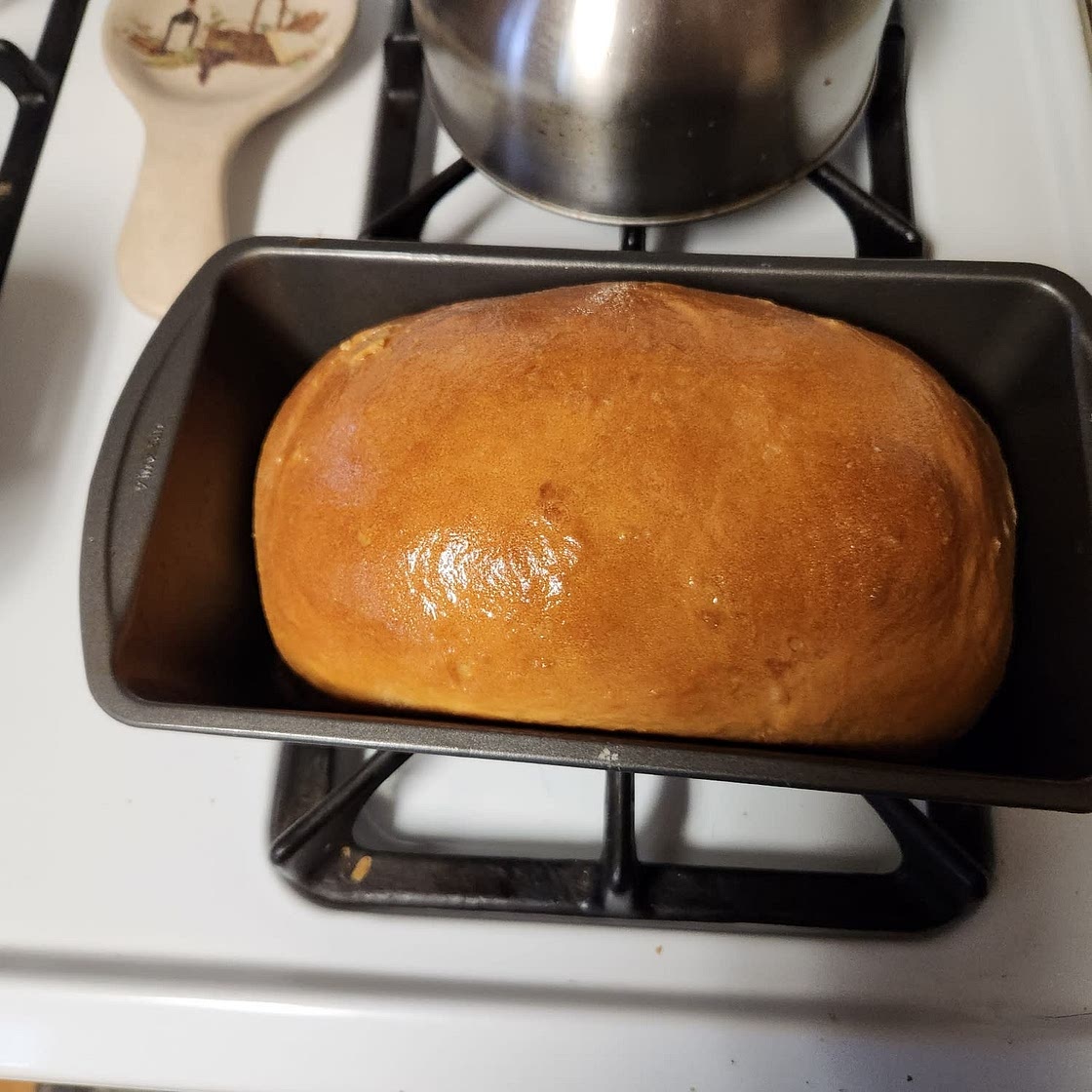 Mom's 4 Loaf Wheat Bread Recipe