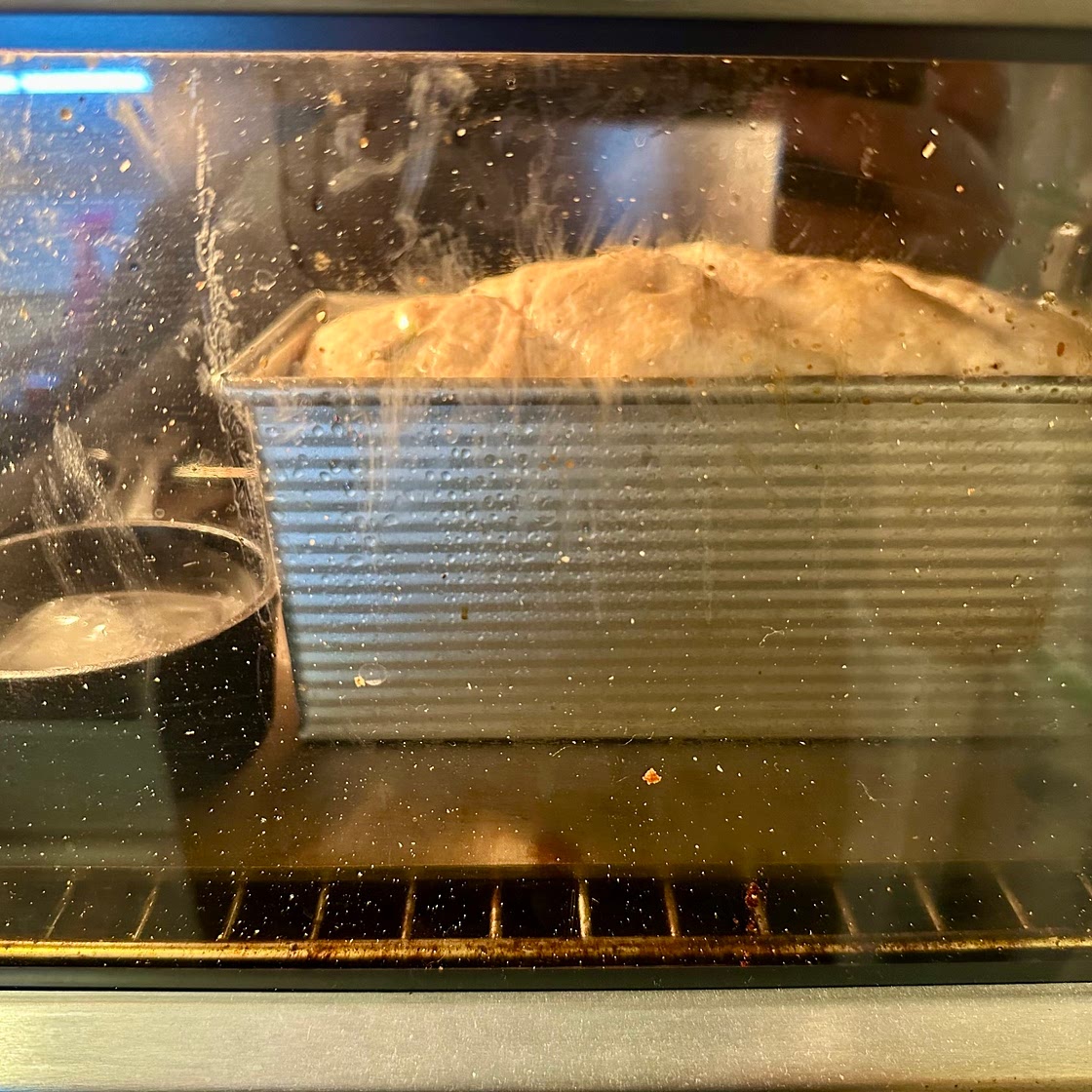 Olive, Roasted Garlic, Parmesan, & Sharp Cheddar Bread