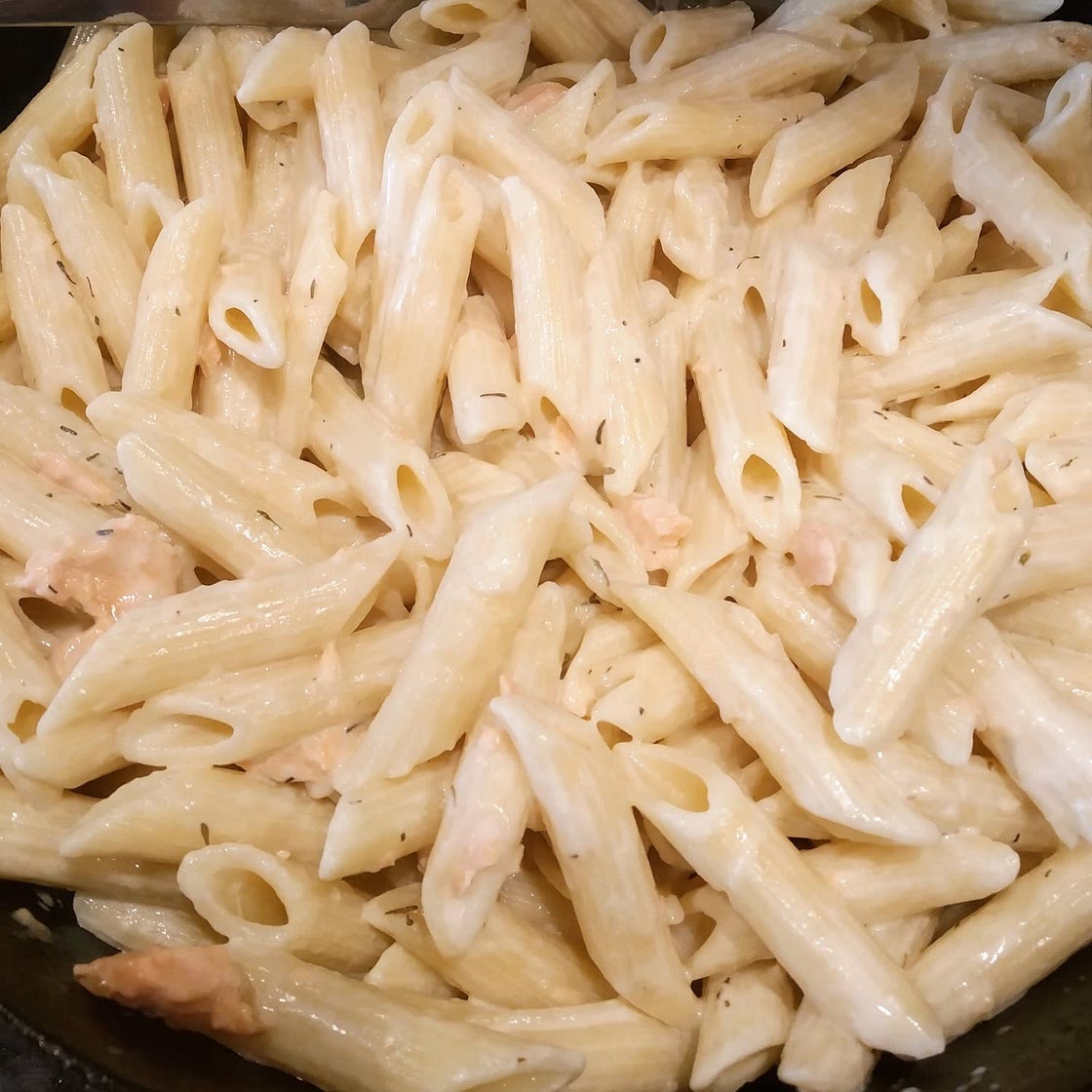 Salmon Alfredo