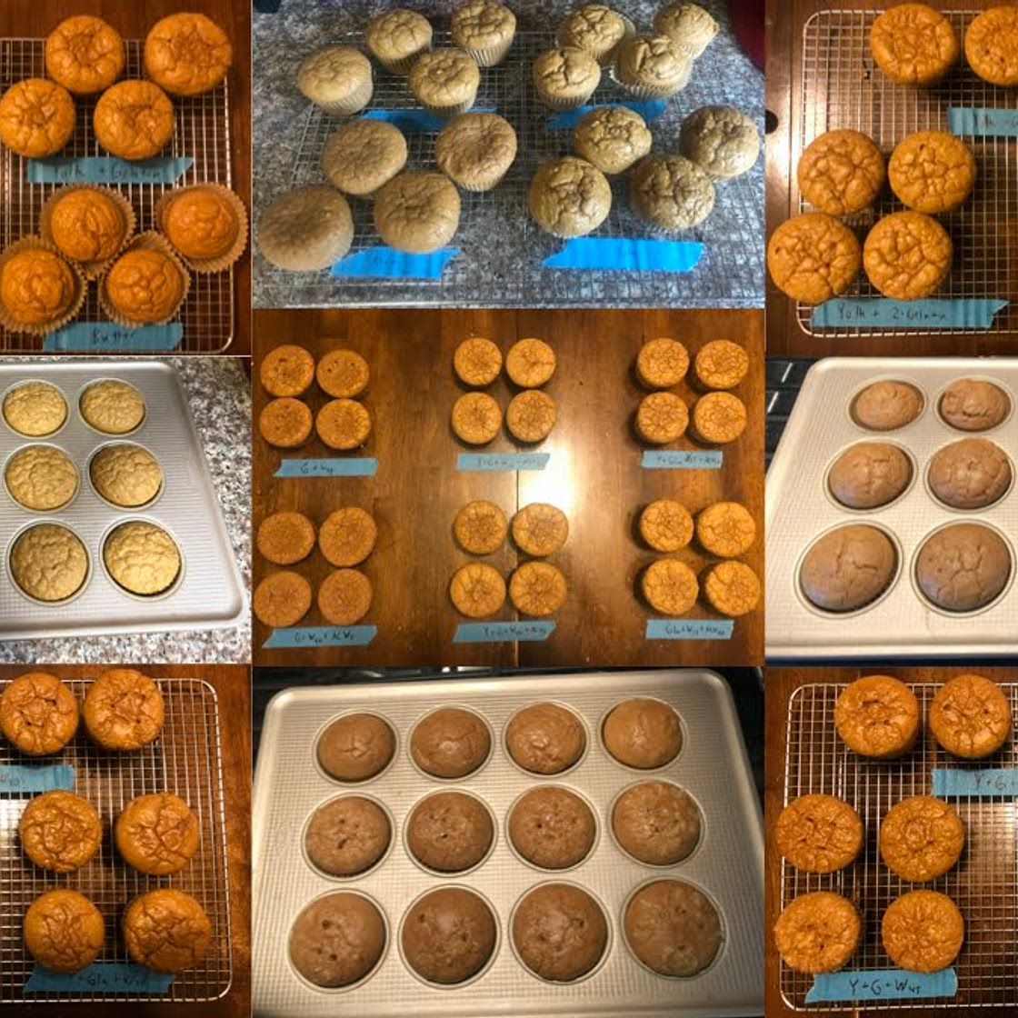 Low-Calorie, High-Protein Oat Fiber Muffin