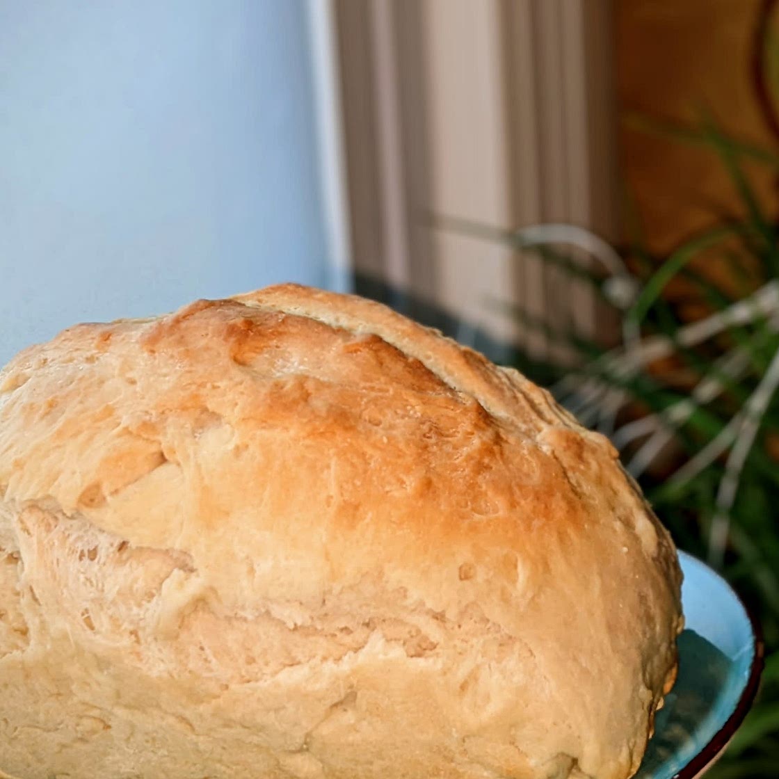 Whey Bread Recipe - High Altitude