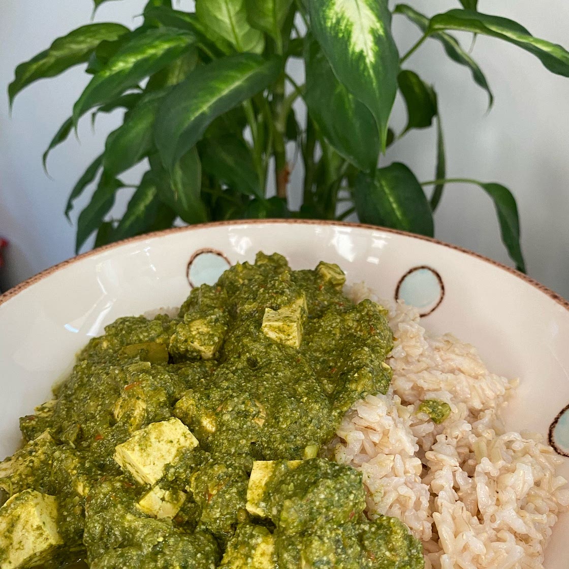 Gourmet Palak Paneer with Tofu ( indian food ) plant based 