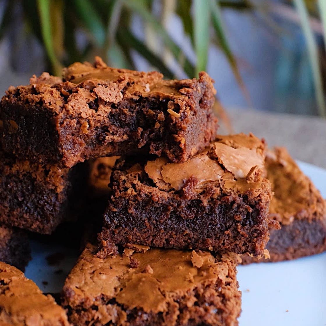Fudge Brownies