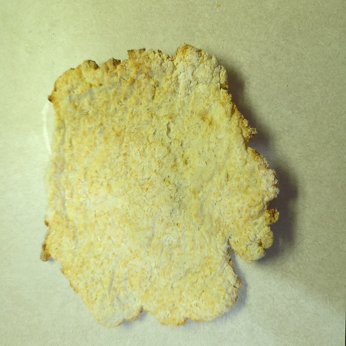 Air Fryer Bagels (2 Ingredients!)