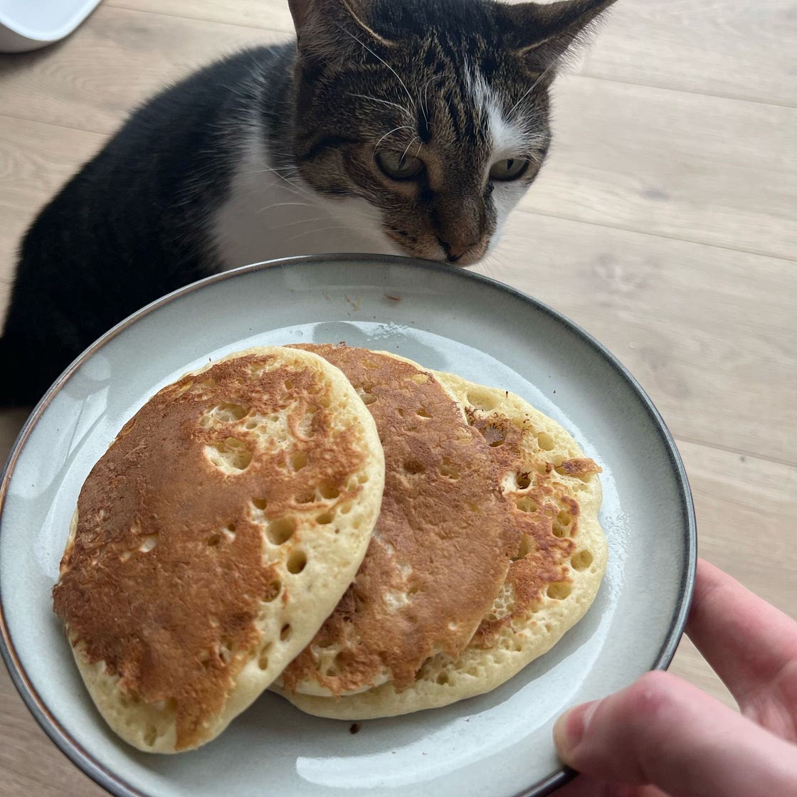 The Fluffiest Vegan Pancakes Recipe by Tasty