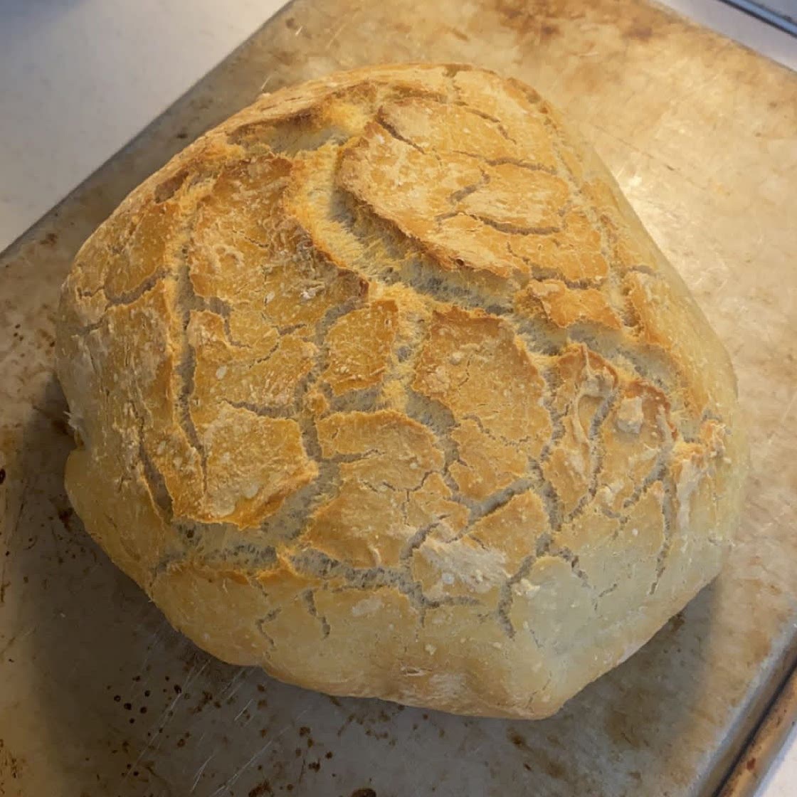 No Knead Bread (Dutch Oven Bread)