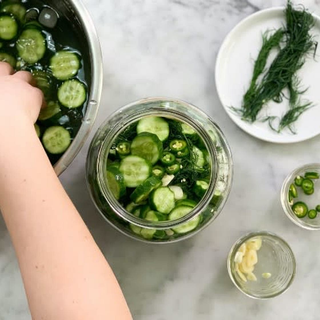 Fermented Pickle Chips 