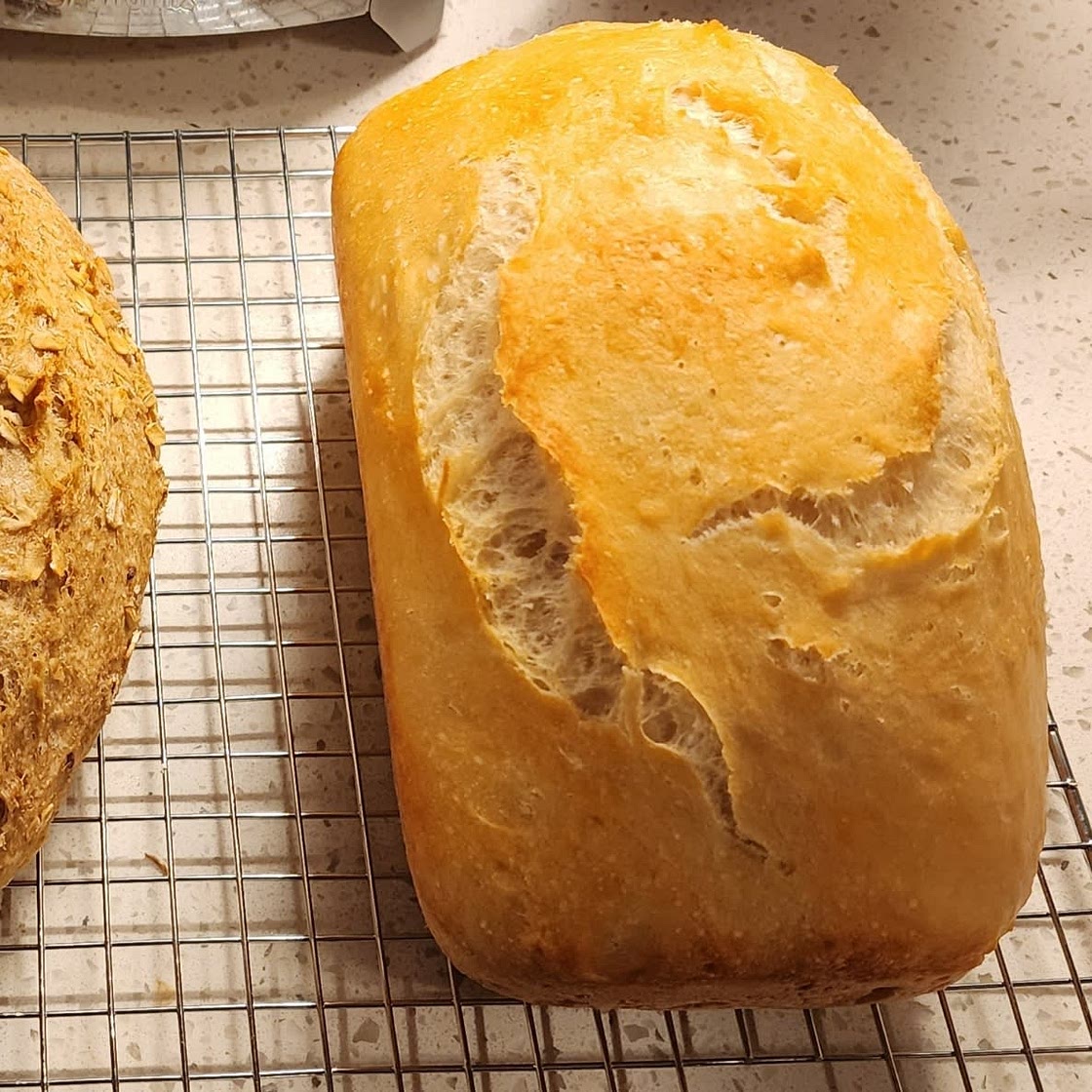 No Knead "My first bread"