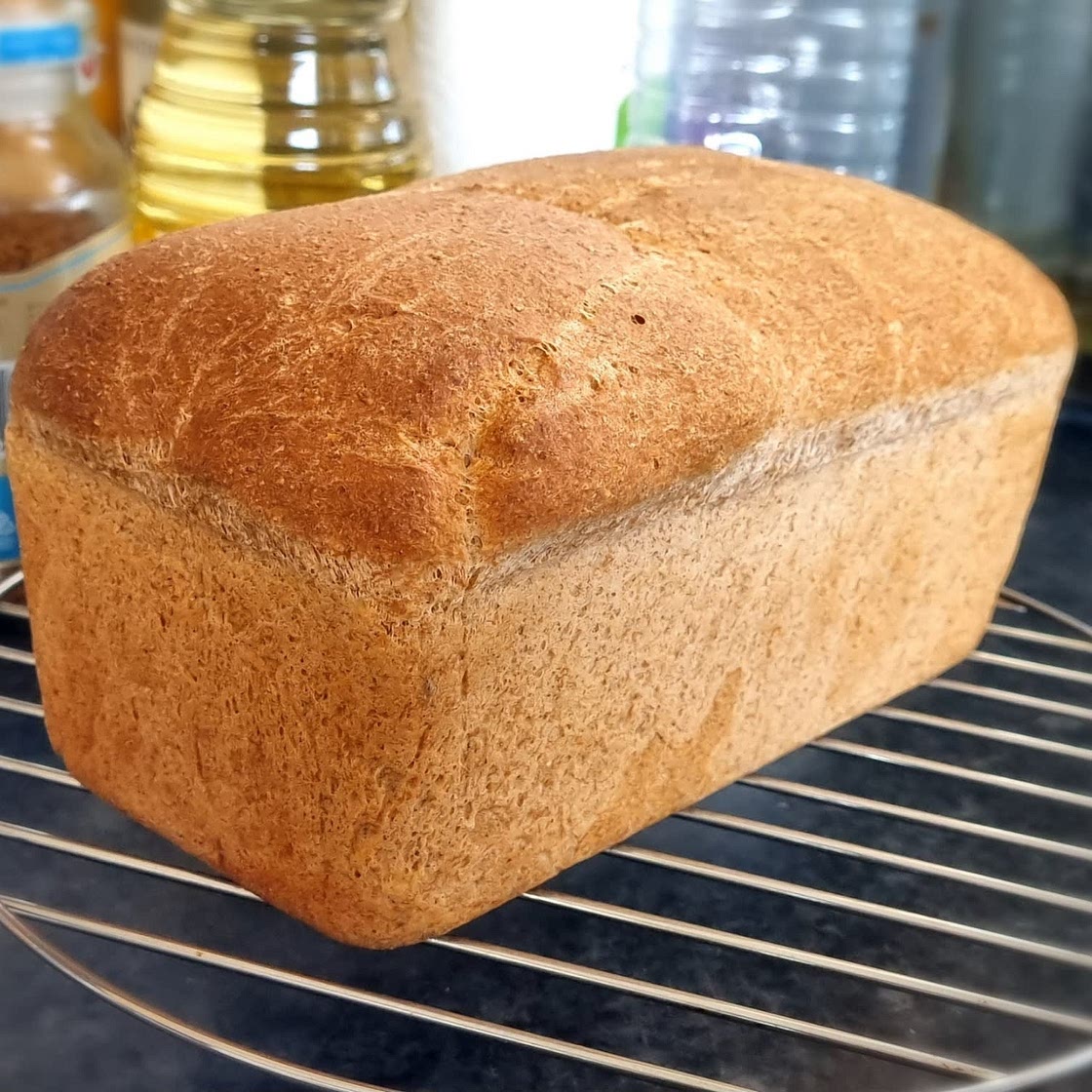 Soft Whole Wheat Bread