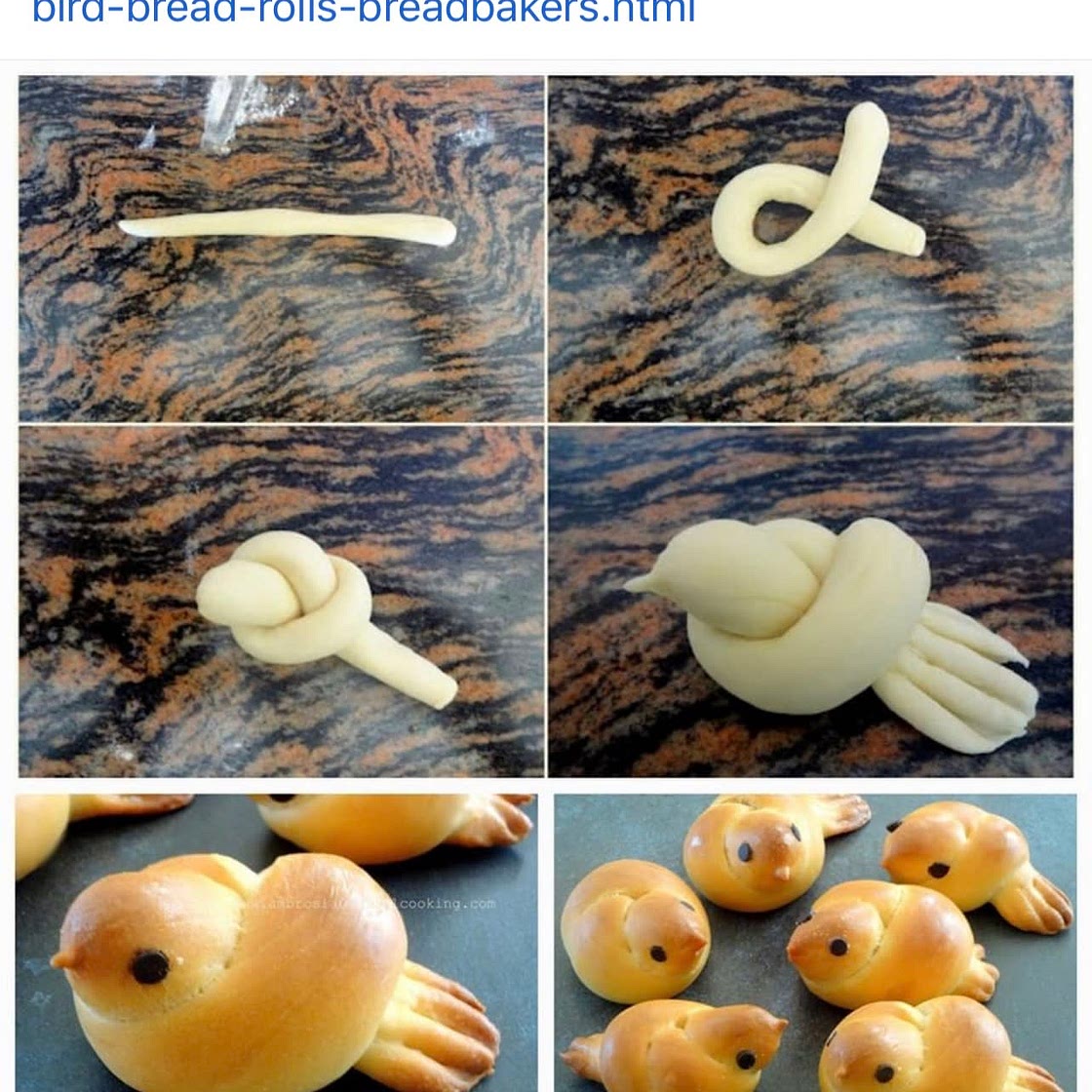 Bird bred 