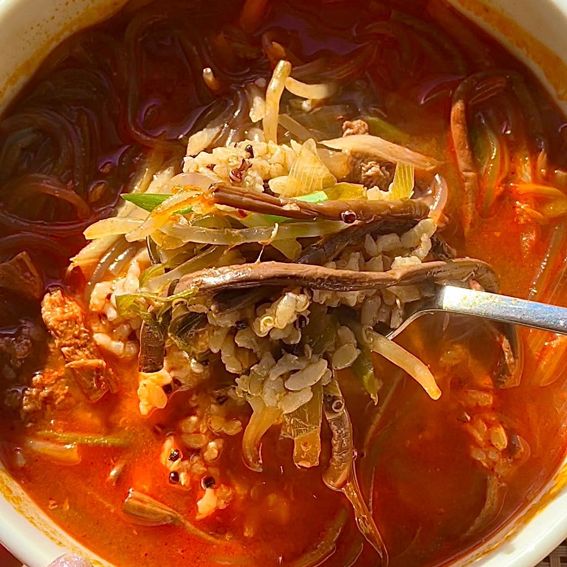 Yukgaejang 육개장 💚