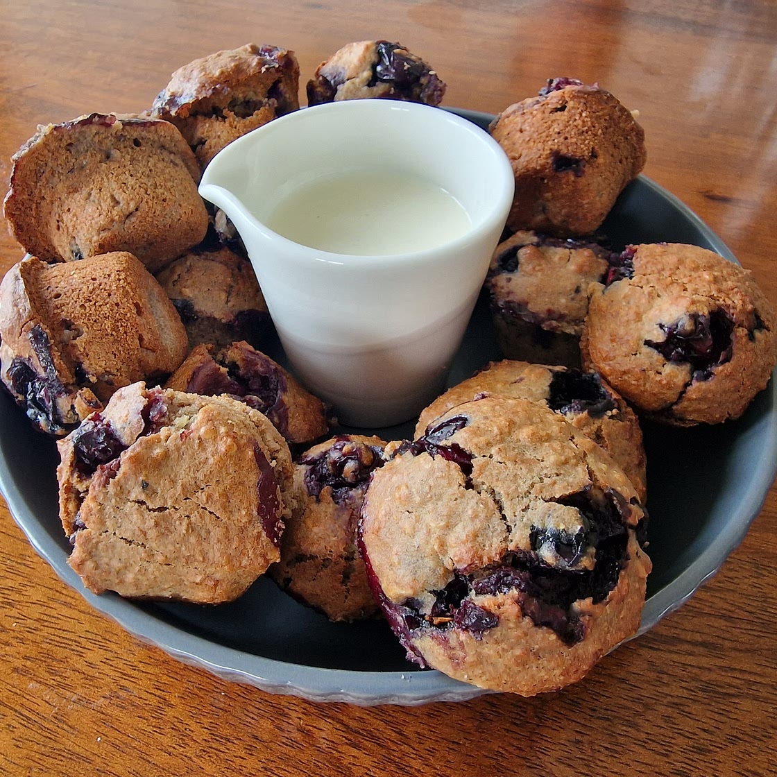 Blueberry Oats and Lentil Mini Muffins