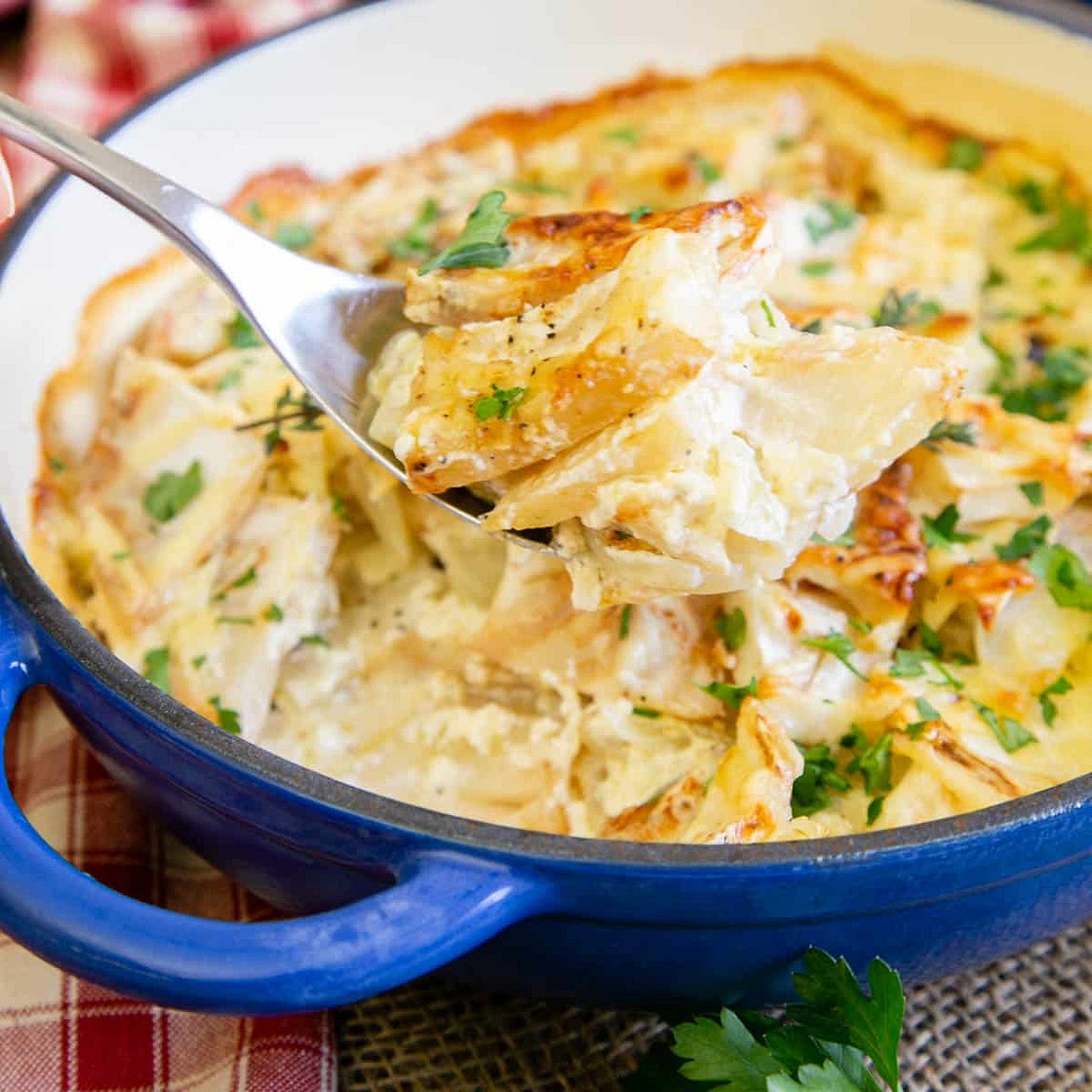 Celeriac Gratin (Celery Root Gratin) Recipe
