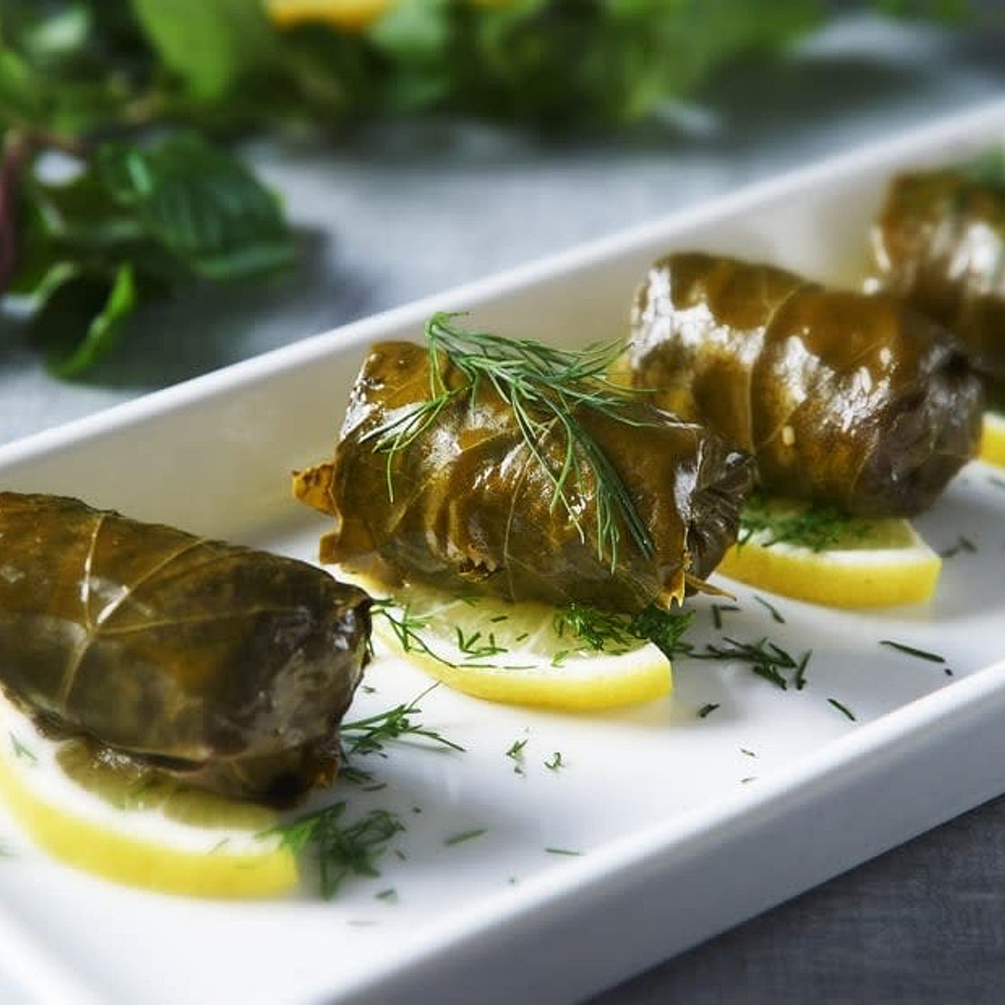 Dolmades, Greek Stuffed Grape Leaves
