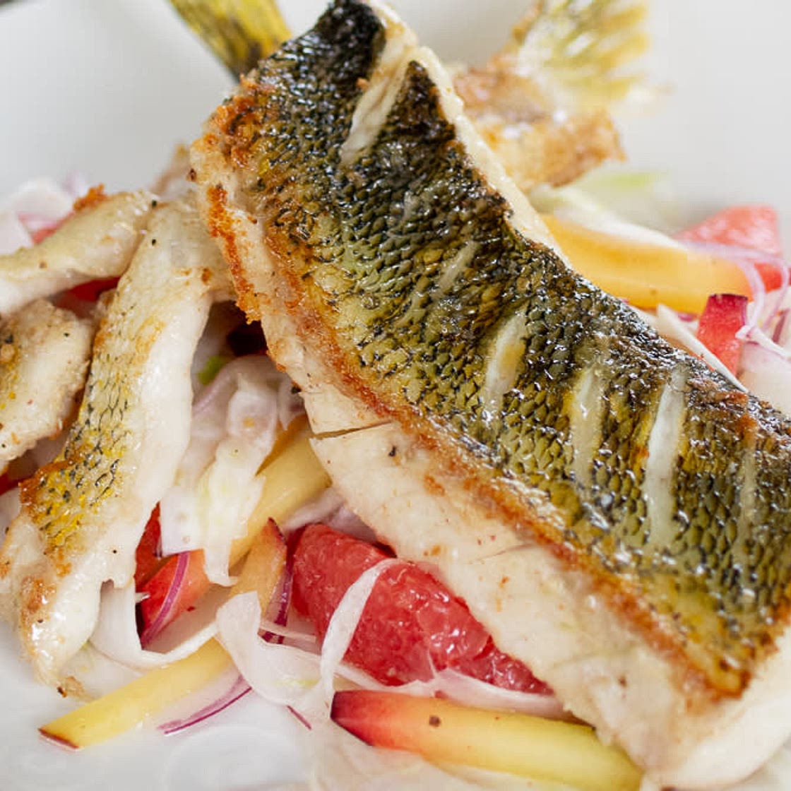 Fried Walleye with Fennel and Grapefruit Salad