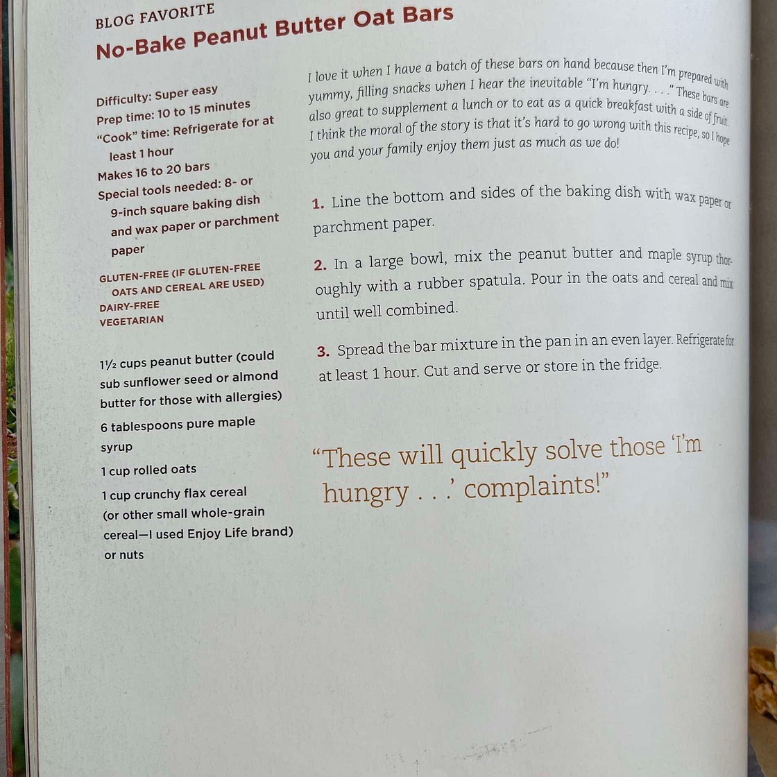 No Bake Pb Oat Bars