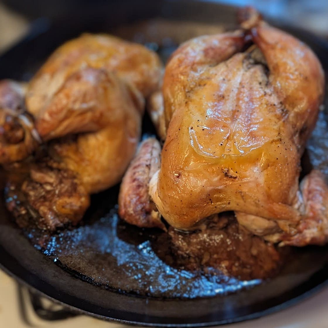 Cornish Hens