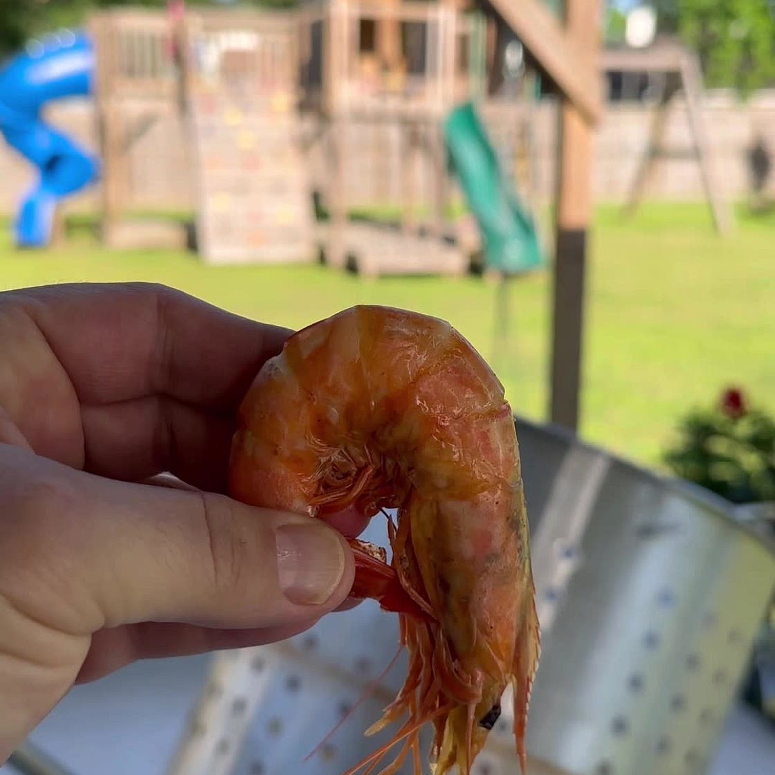 Louisiana Shrimp Boil