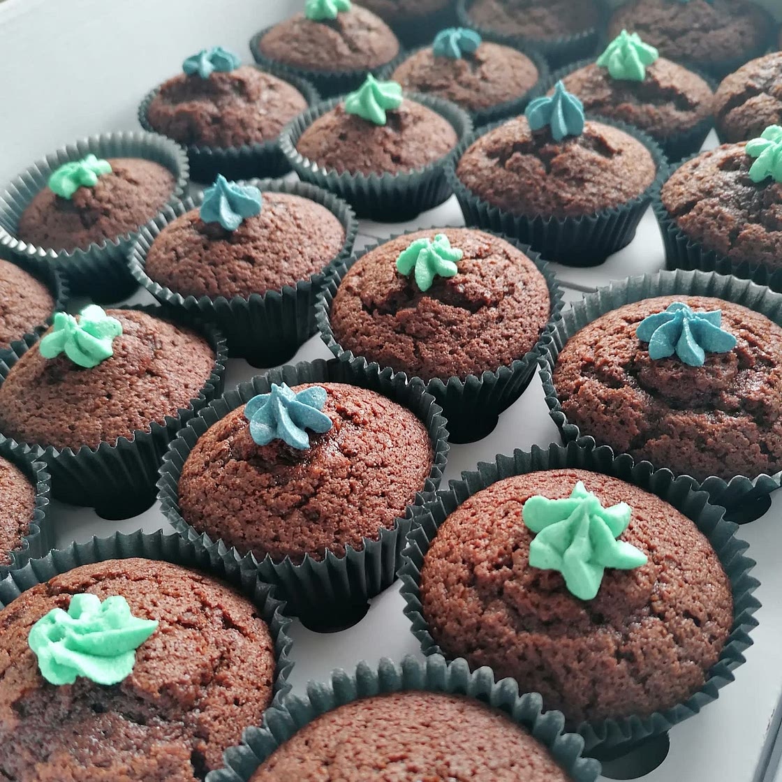 Easy Chocolate Cupcakes