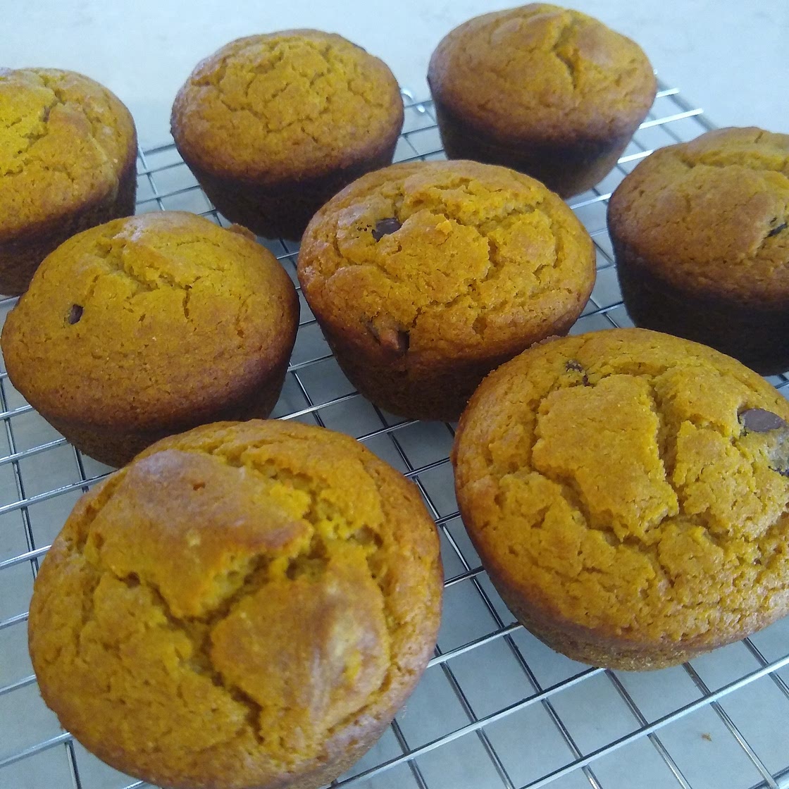 Pumpkin Chocolate Chip Muffins