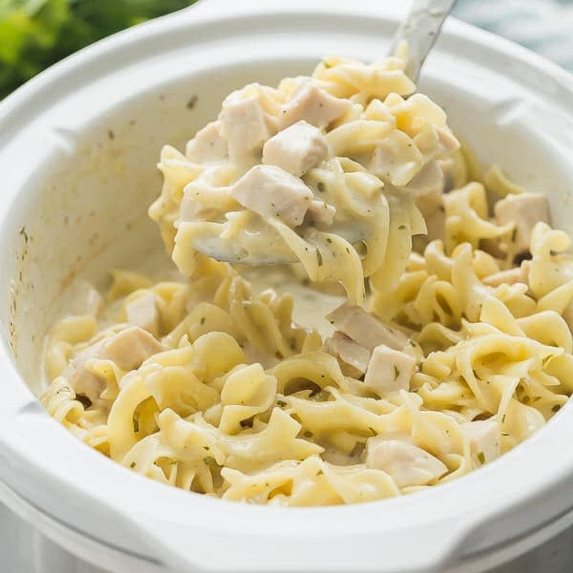 Chicken and Noodles