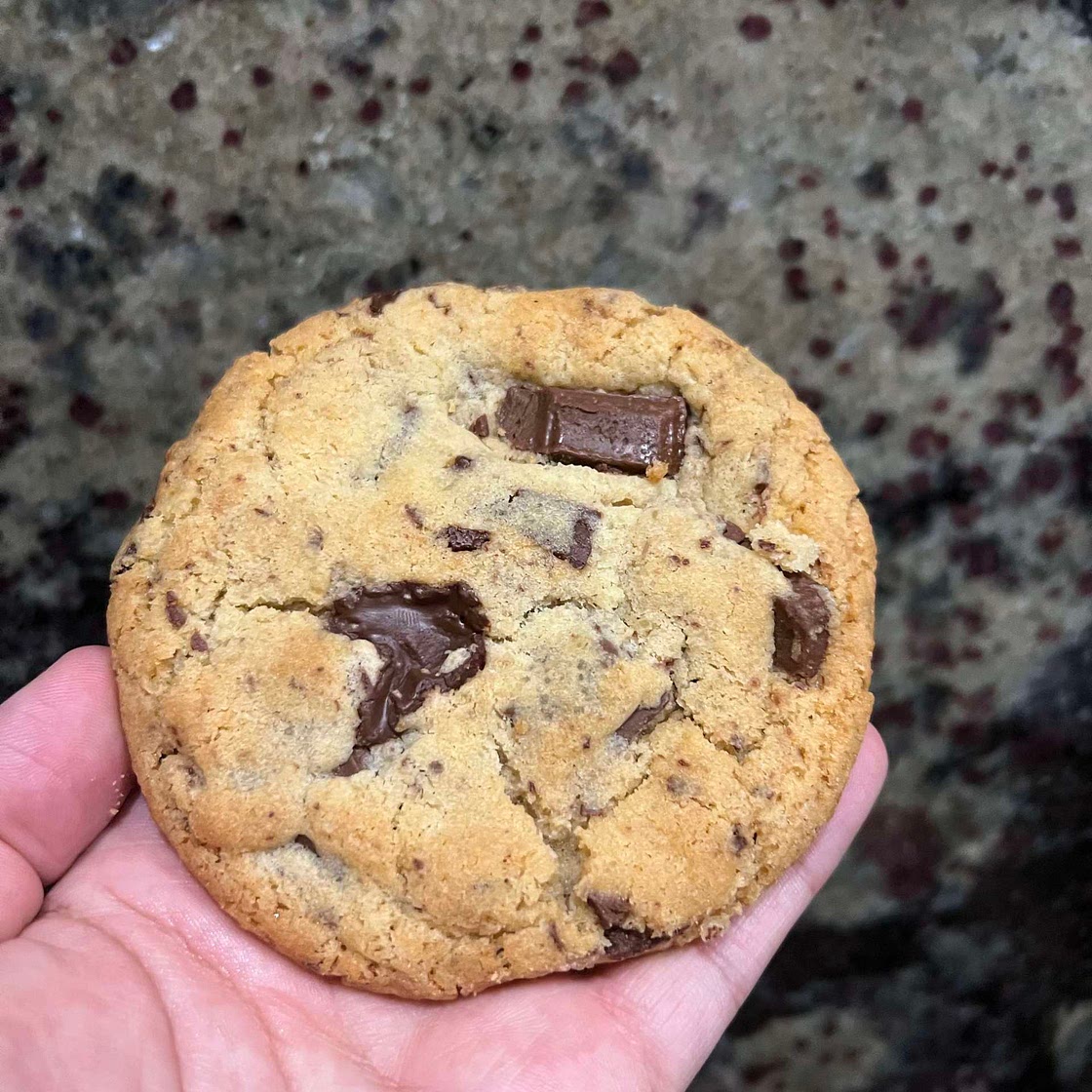 Dual Chocolate Butter Cookies