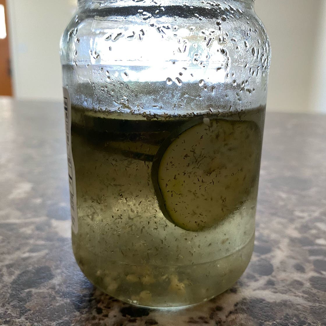 Quick and Easy Dill Pickle Chips for Hamburgers and Sandwiches Recipe