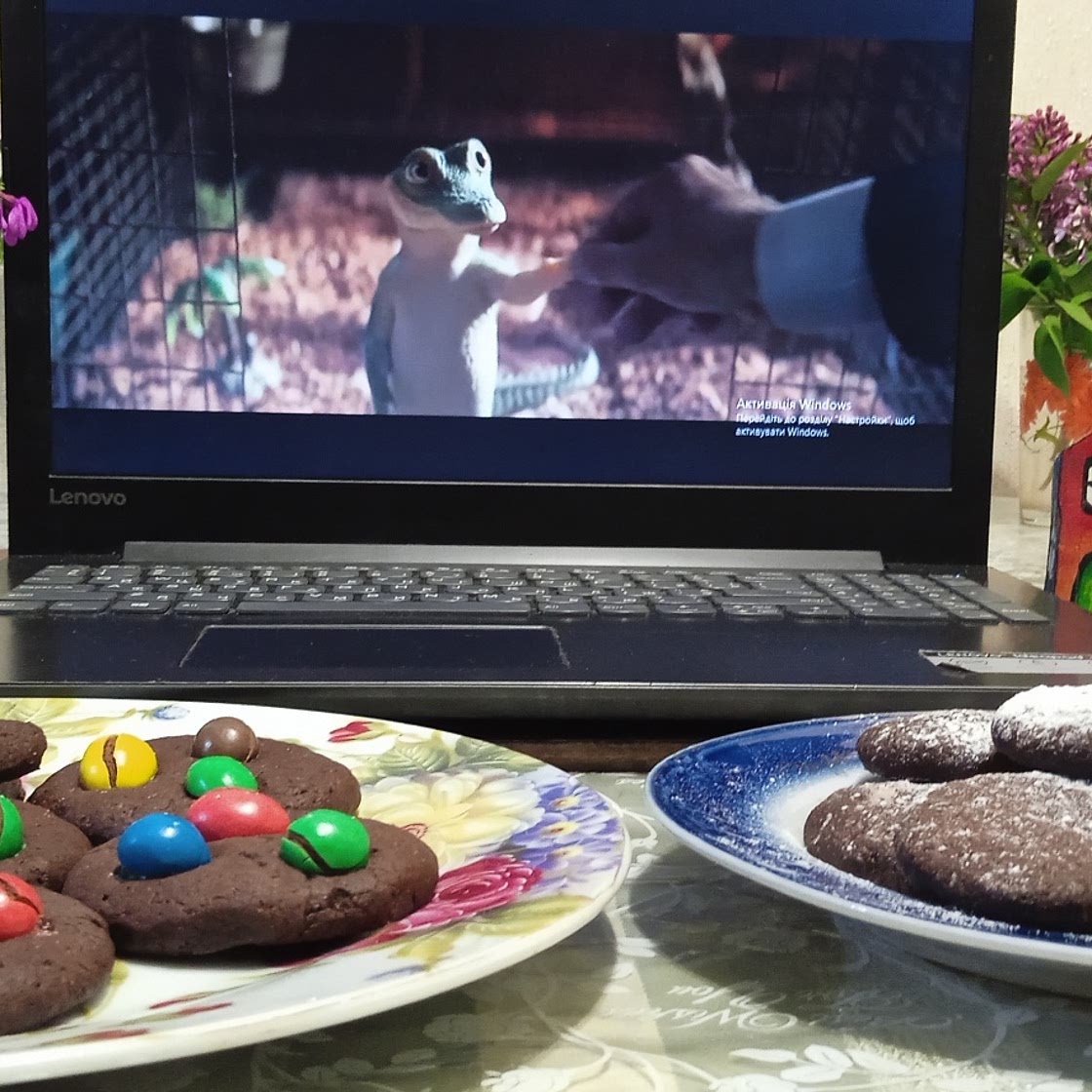Chocolate cookies with ememdems candies