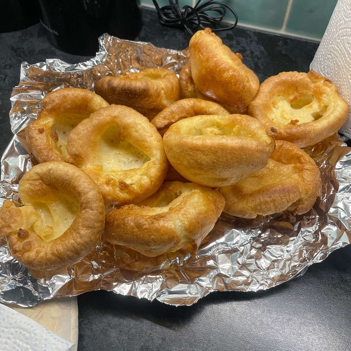 Amazing Yorkies