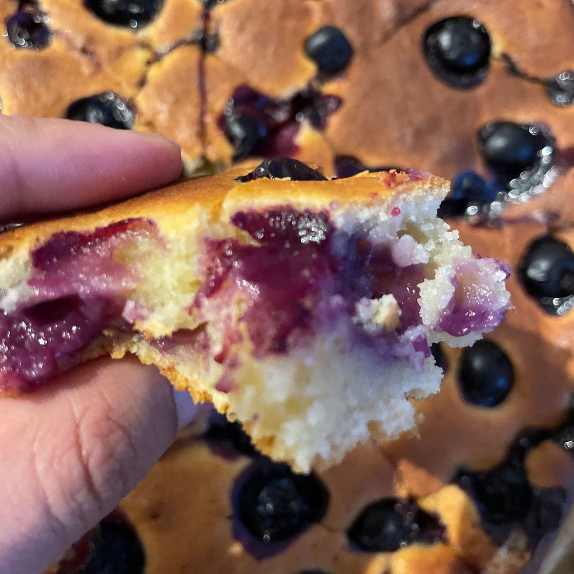 BLUEBERRY RICOTTA CAKE